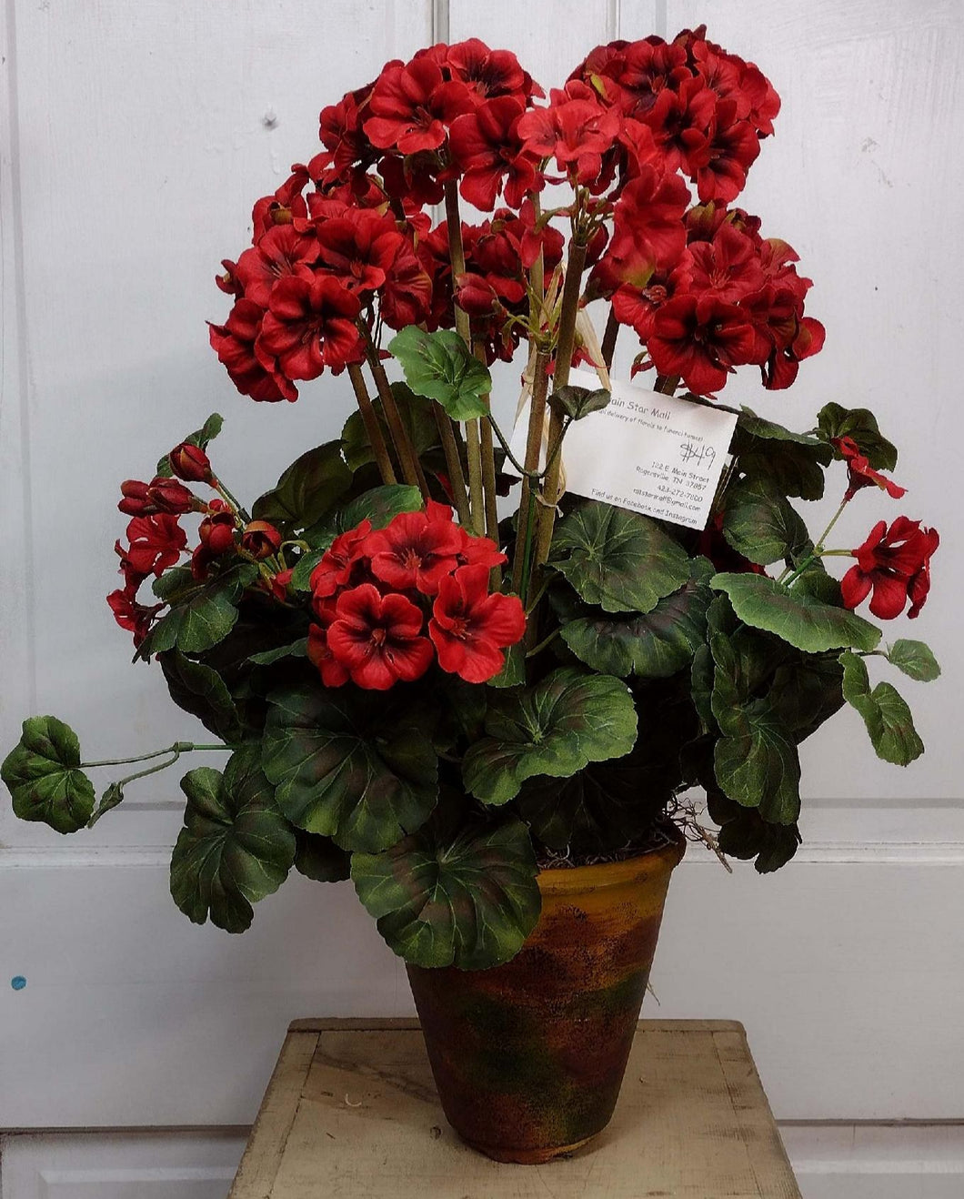 K309 - Arrangement with Red Geraniums in Mossy Clay Pot