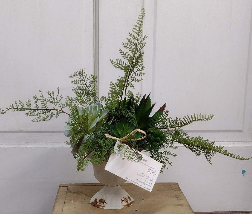 K312 - Arrangement in metal White Cup with Succulents and Fern